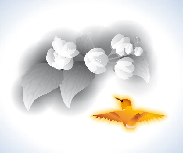 Jasmin et oiseaux — Image vectorielle