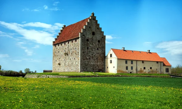 Panorama zamku Glimmingehus 12 — Zdjęcie stockowe
