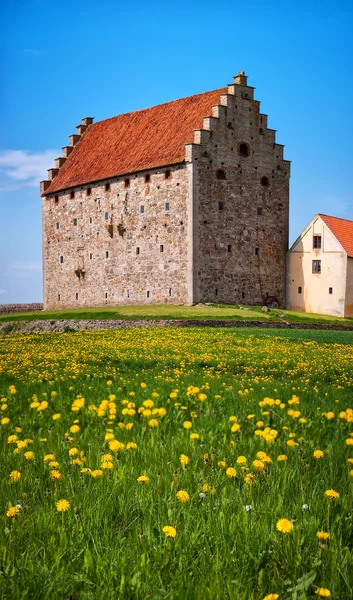 Glimmingehus kasteel panorama 13 — Stockfoto