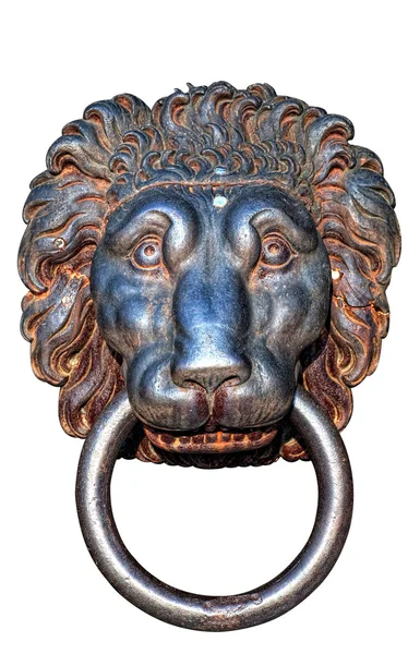 Cabeça de leão isolada — Fotografia de Stock