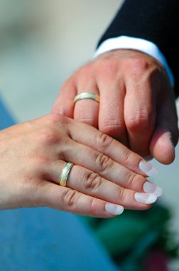 Wedding hands and rings clipart