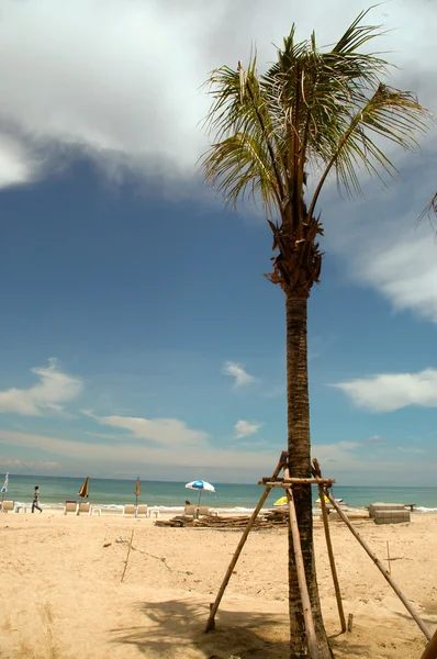 Strand en palm, thailand — Stockfoto