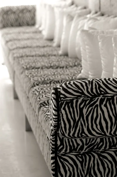 Zebra kanepe — Stok fotoğraf