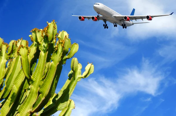 Samolot i egzotycznych podróży — Zdjęcie stockowe
