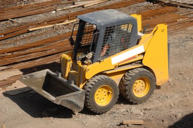 Sarı bobcat