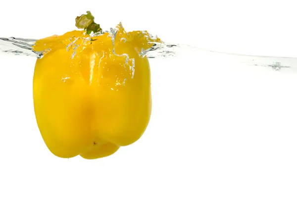 Pepper fruit in water — Stock Photo, Image