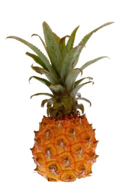 Beyaz arkaplanda izole edilmiş ananas meyvesi