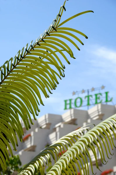 Palm and hotel — Stock Photo, Image