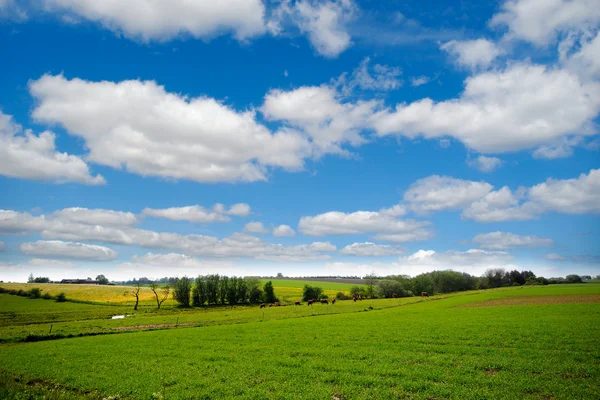Jordbruksmark med blå och mulen himmelzemědělská půda s modré a zatažené oblohy — Stock fotografie