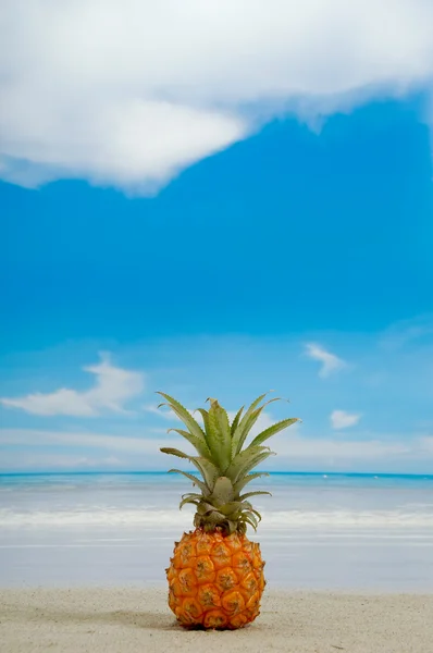 Ананас и пляж — стоковое фото