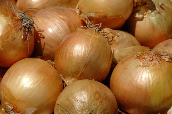 stock image Onions