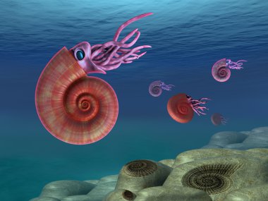 Ammonit deniz manzarası