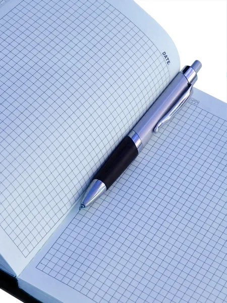 Penna i en dagbok — Stockfoto