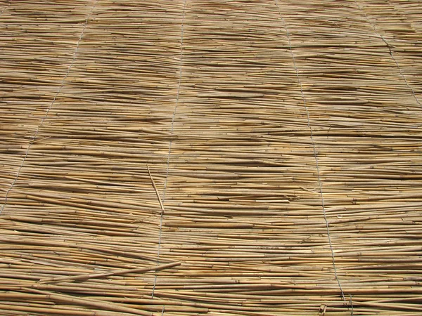Reed roof — Stock Photo, Image