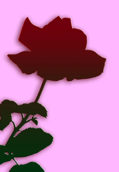 Silhuett av rose — Stockfoto