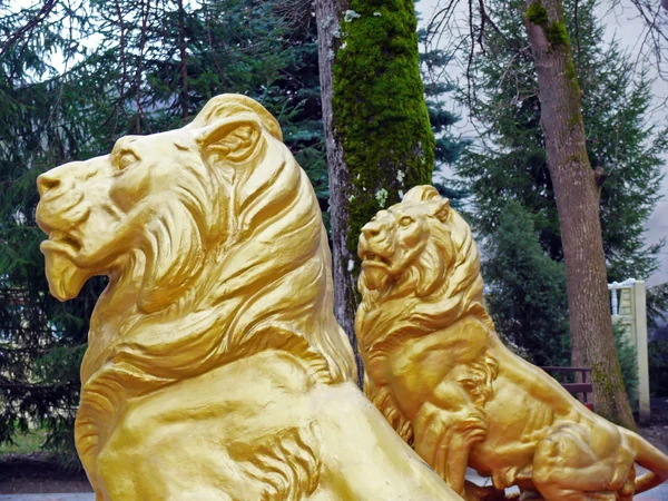 2 頭のライオン — ストック写真