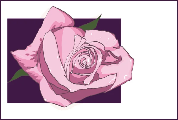 Carte avec une rose — Image vectorielle