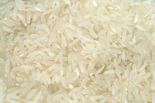 背景水稻 — 图库照片
