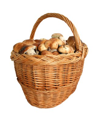 Basket with mushrooms clipart