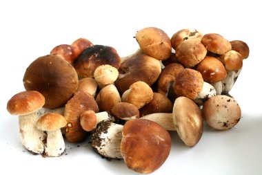 Cep