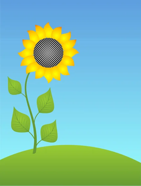 Sonnenblume — Stockvektor