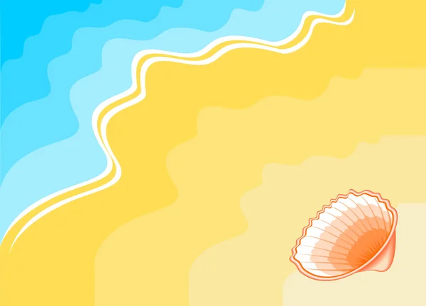 stock vector Seashell