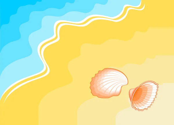 stock vector Seashell