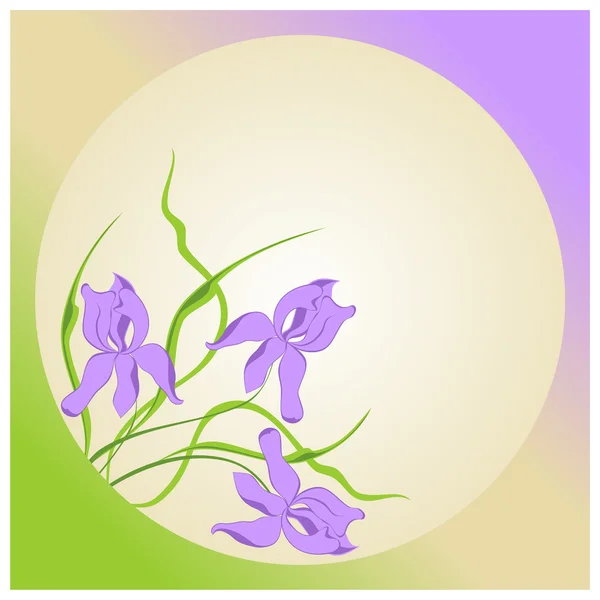 Ίριδες λουλούδια — Διανυσματικό Αρχείο