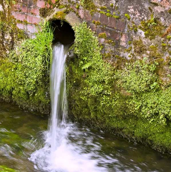 Вода из водосточной трубы — стоковое фото