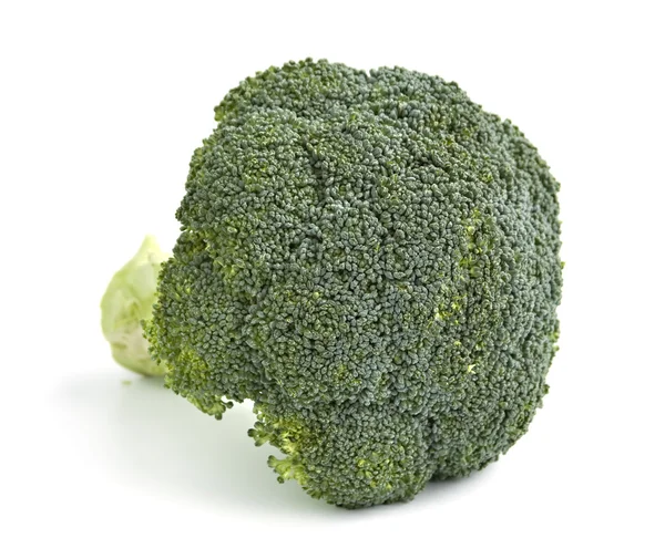 stock image An isolated head of broccoli