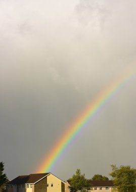 Beautiful rainbow over the rooftops clipart