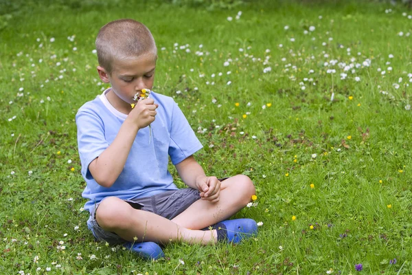 Kleiner Junge sitzt auf einer Wiese und riecht einen Strauß wilder Blumen lizenzfreie Stockfotos