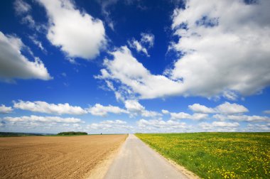 Agriculture landscape with road clipart