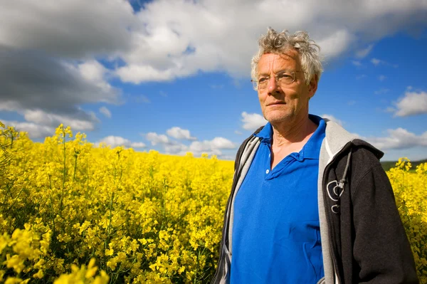 stock image Landscape with elderly man in cole seed