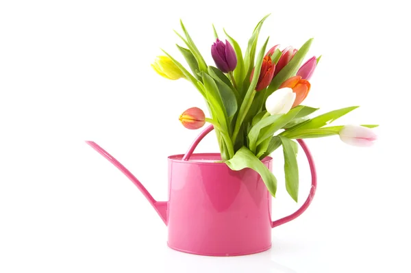 Spring flowers in watering can — Stock Photo, Image