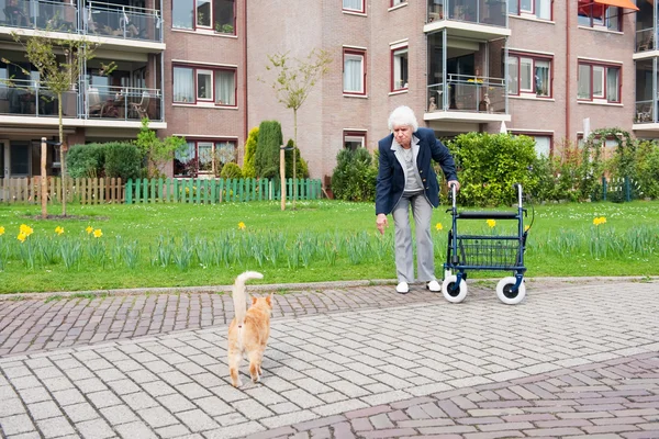 Пожилая женщина с ходячим — стоковое фото