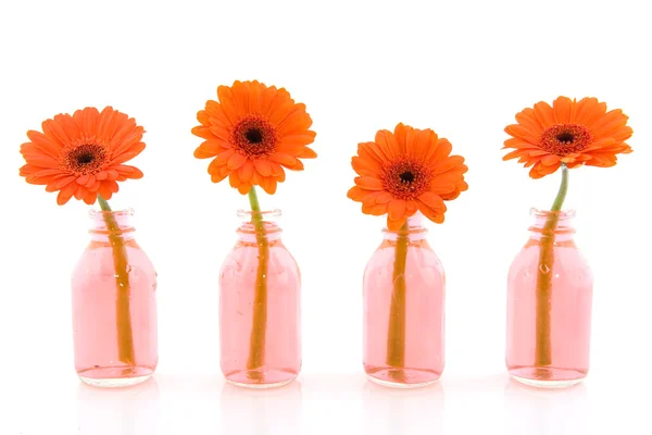 Řádek s květinami — Stock fotografie