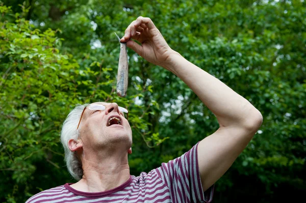 Holandês homem está comendo arenque — Fotografia de Stock