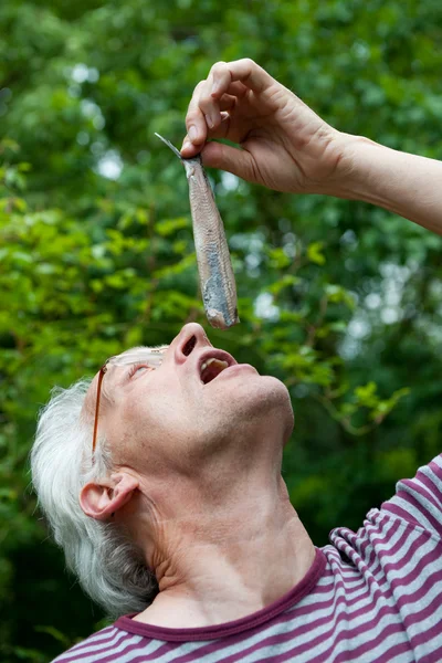 Dutch man is eating herring — Stock Photo, Image