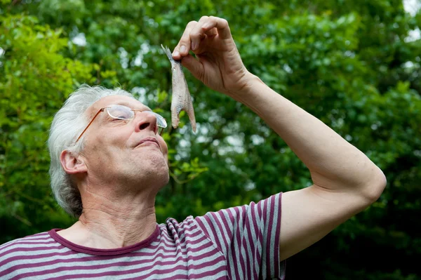 Hollandalı adam ringa balığı yiyor — Stok fotoğraf