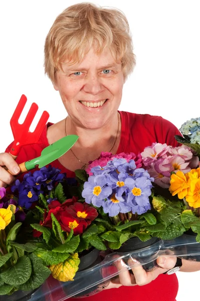 Elderly woman is gardening — Stock Photo, Image
