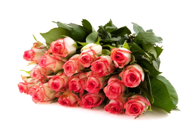 Roze rozen in vaas — Stockfoto