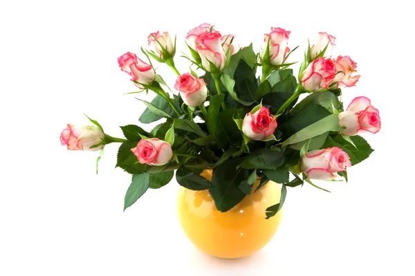 Rosa Rosen in der Vase — Stockfoto