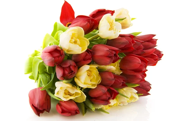 Ramo tulipanes — Foto de Stock