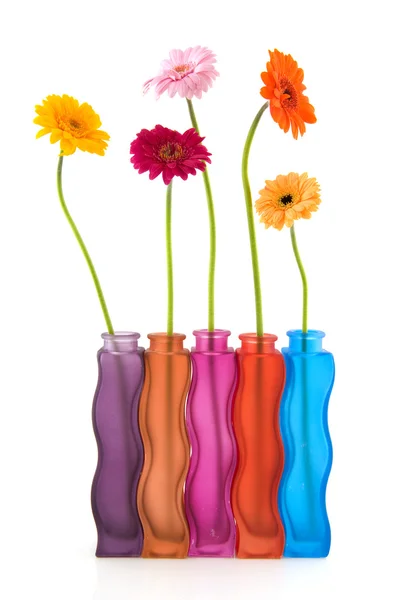 Colorful flowers and vases — Stock Photo, Image