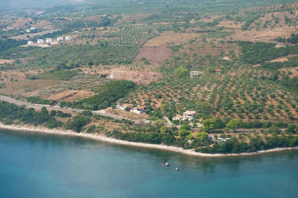 Оливковые сады Греции — стоковое фото