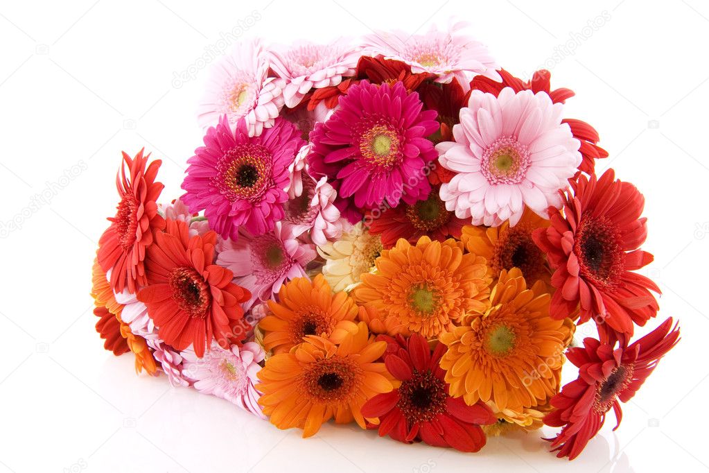 Colorful bouquet Gerber