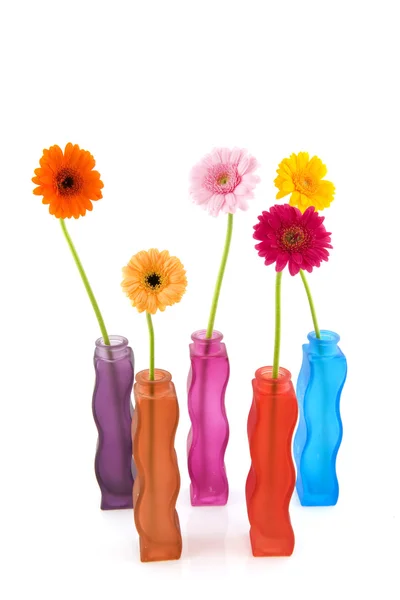 Colorful vases with flowers — Stock Photo, Image