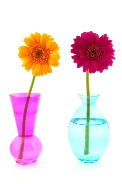 Kleurrijke gerber in glazen vazen — Stockfoto