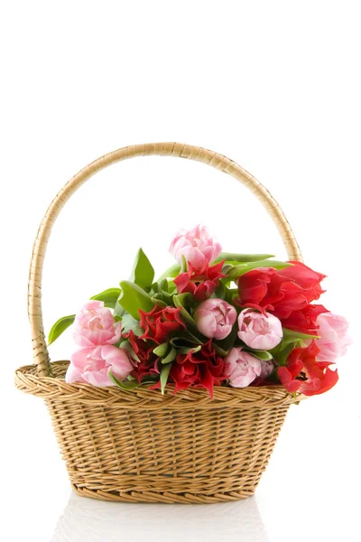 Basket with tulips — Stock Photo, Image